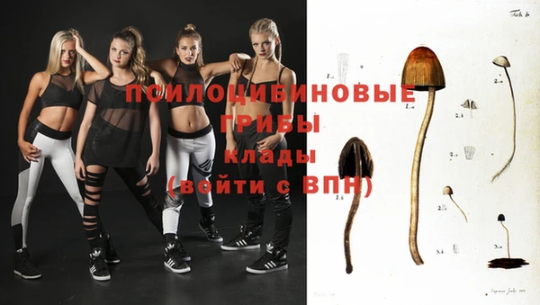 кокаин перу Михайлов