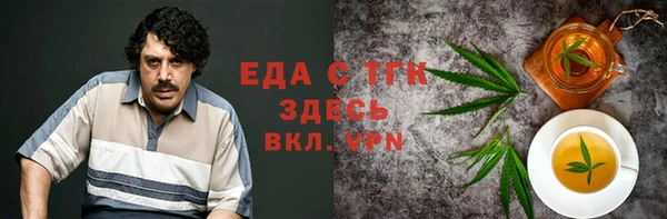 индика Михайловск