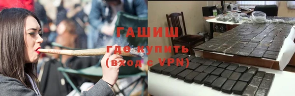 индика Михайловск