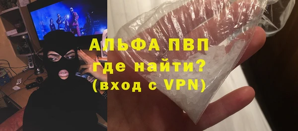 индика Михайловск