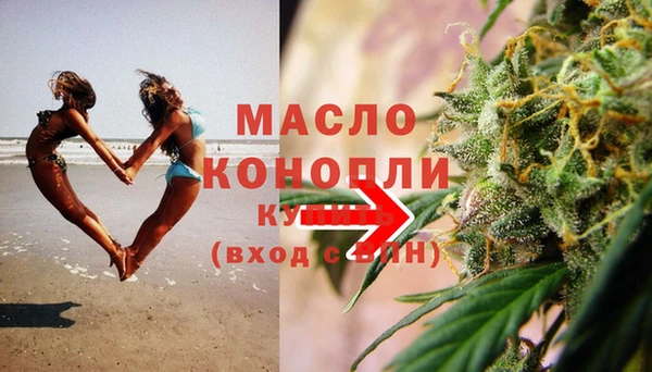 индика Михайловск