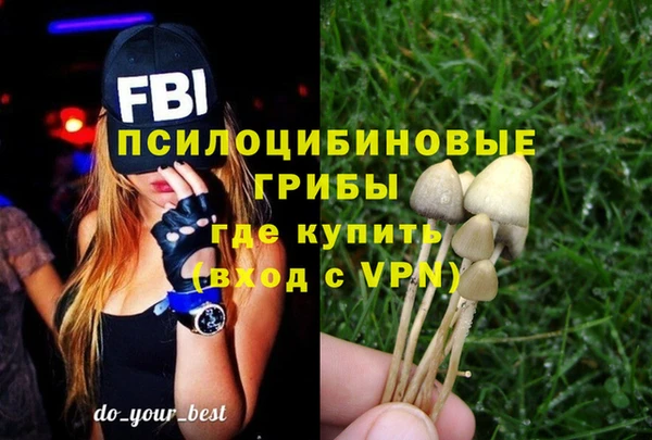 PSILOCYBIN Нефтегорск
