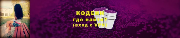 индика Михайловск