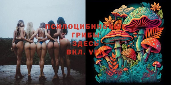 ешки Навашино