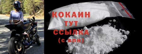 индика Михайловск